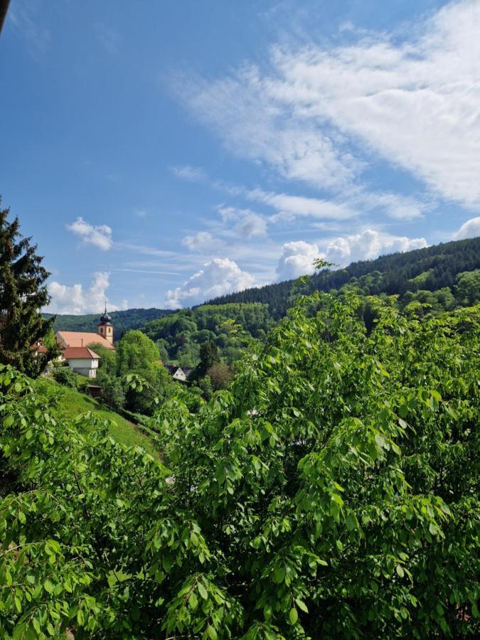 Ferienhaus Heinz Heiligkreuzsteinach Esterno foto